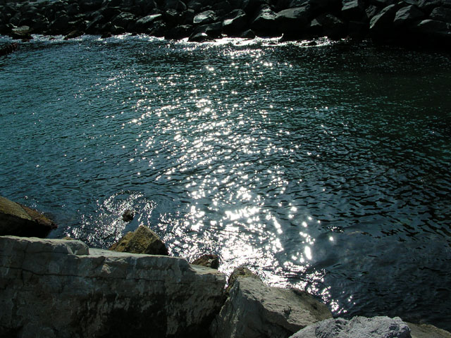 foto_cartolina